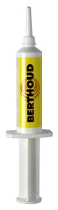 Seringue graisse silicone  10 g