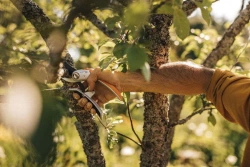 Sécateur Plus P751 à lame franche en métal - Ø 24 mm - Power lever
