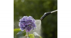 Pulvérisateur à pression préalable Plus 5L