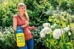 Pulvérisateur à pression Prima 3 lance en laiton - 3L