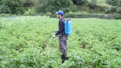 Pulvérisateur EVOLUTION 16 AGRO manuel à dos - Pour plus de 1500 m²